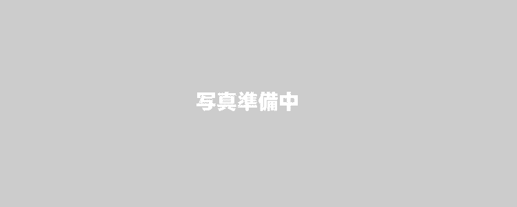 プチハウスのぶこさま
